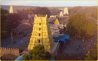 Temple Dec 2023 - 9
